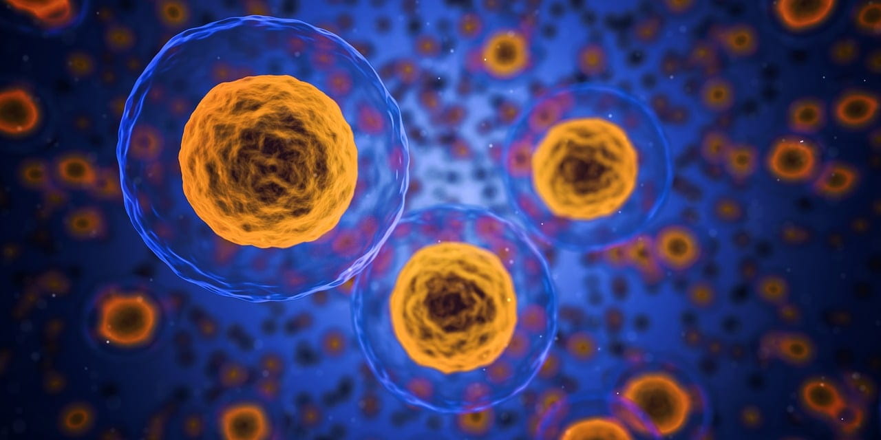 The Role of AI in Drug Discovery: Revolutionizing the Future of Biopharma